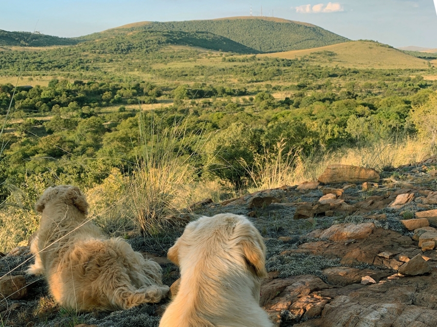 Commercial Property for Sale in Parys Free State